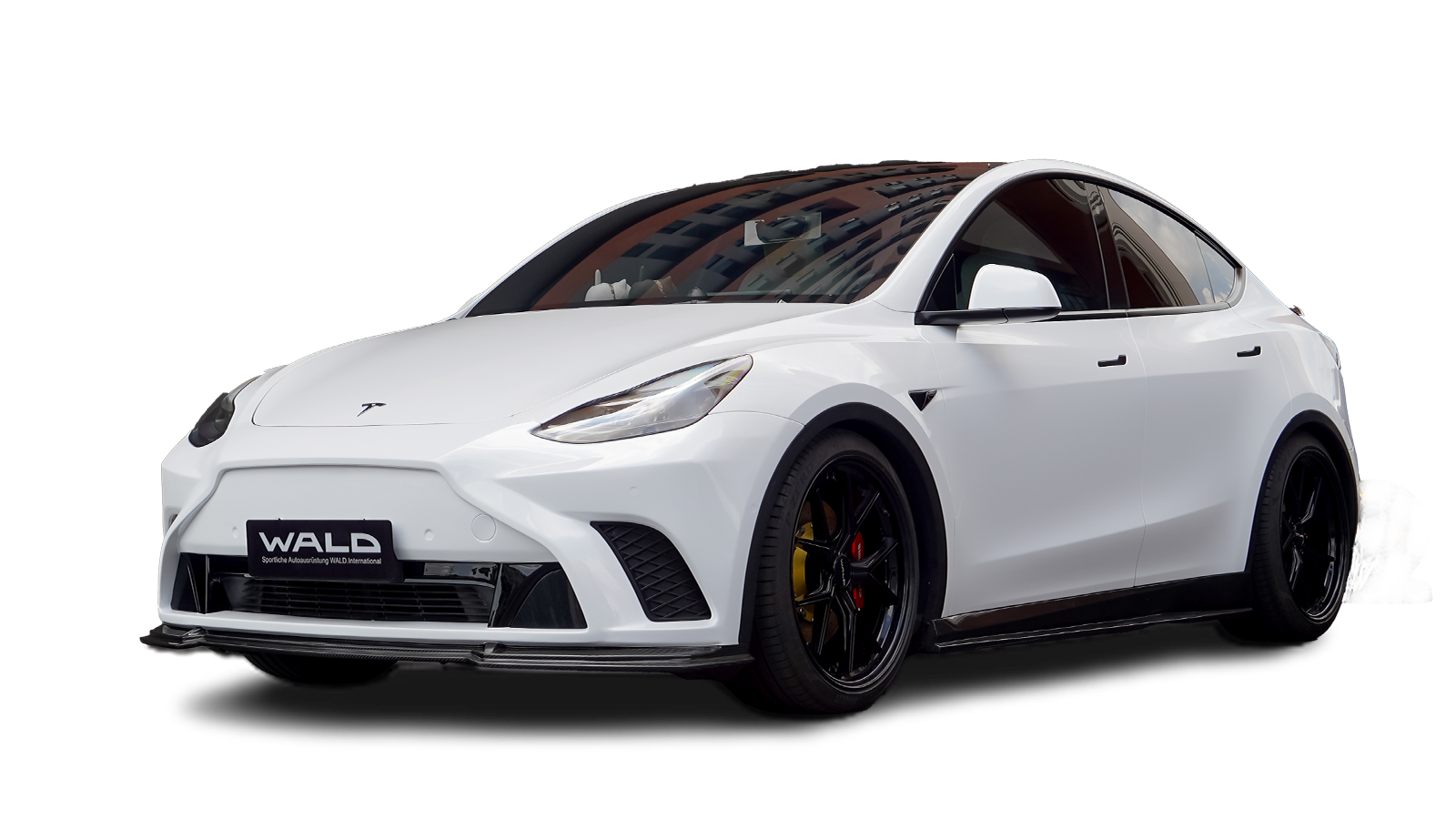 Model Y
